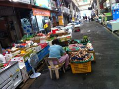 -西归浦每天偶来市场