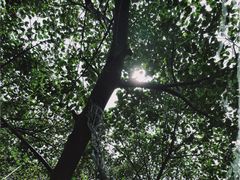-深圳市当代艺术与城市规划馆