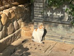 -龙华素斋(龙华路店)