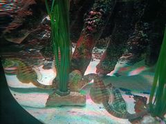 -沈阳海洋探索中心