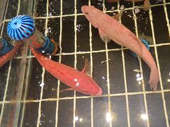 -江南府第·萧山宴(钱江世纪城店)