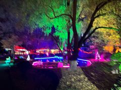 -枫花园汽车电影院(朝阳公园店)