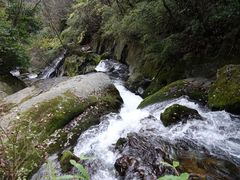 景点-神农架香溪源景区