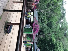 -野象谷景区