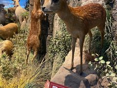 -陕西自然博物馆