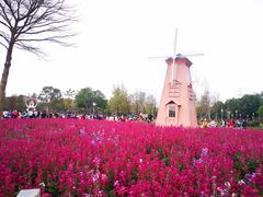 -顺峰山公园