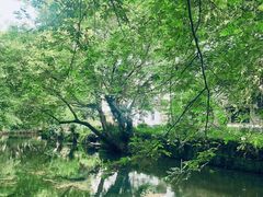 -西溪南古村落景区