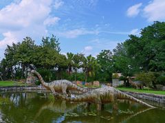 -自贡恐龙博物馆