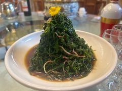 -十二毡房蒙餐·蒙古包