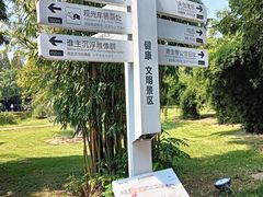 -橘子洲景区