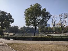 -南翔镇银翔湖公园