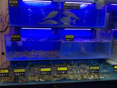 水产区-冯姐生蚝(长隆横琴店)