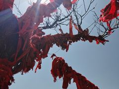 -青州市云门山风景区