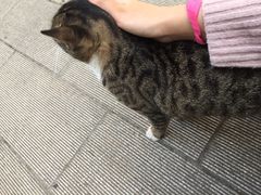 -又合书舍