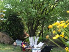 -铁山坪森林公园