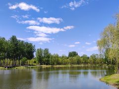 -东郊湿地公园