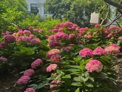 -常州古运河南大街文化旅游区-人民公园