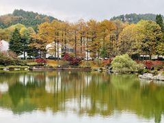 -四明山国家森林公园