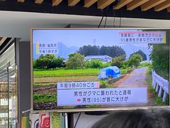 -帝京日语(春熙路旗舰校区)