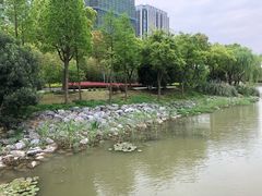 -南翔镇银翔湖公园