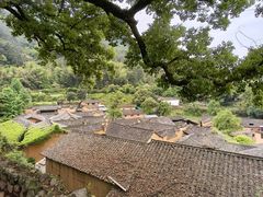 -杨家堂村