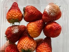 -AEON永旺(东方宝泰店)