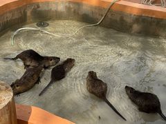 -南戴河国际娱乐中心