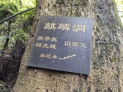 -黔灵山公园