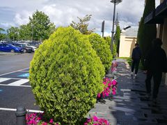 -马德里拉斯咯扎斯购物村