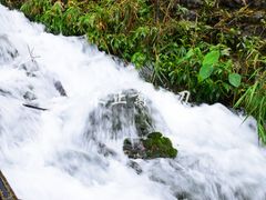 -太鲁阁公园