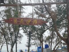 -贝壳沙滩
