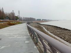 -瀛洲公园
