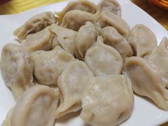 猪肉饺子-山东单县风味羊肉汤馆(望园路店)