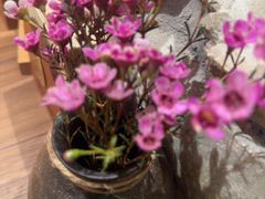 -云海肴·汽锅鸡·云南代表菜(美罗城店)