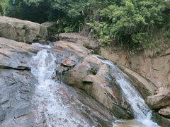 -广州白江湖森林公园