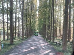 -黄海国家森林公园