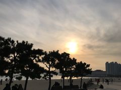 -海云台海滩