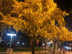 -如家酒店(上海南京路人民广场店)