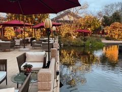 -杭州西子湖四季酒店-WL BISTRO西湖餐厅(灵隐路店)