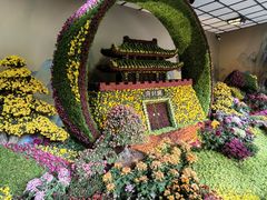 -杭州植物园
