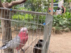 -南宫五洲植物乐园