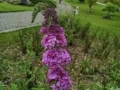 -白塘生态植物园