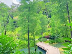 -云溪植物园