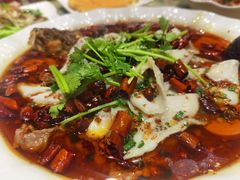 -凯荟·不止酸菜鱼(广州鸿德国际店)