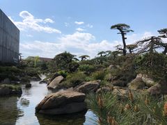 -罗红摄影艺术馆