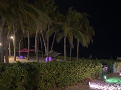 -半山半岛洲际度假酒店·观海廊
