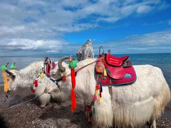 -青海湖国家重点风景名胜区