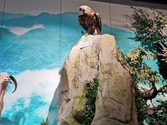 -重庆中国三峡博物馆(重庆博物馆)