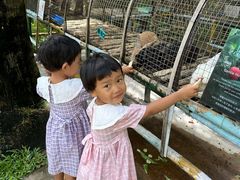-三亚海棠湾喜来登度假酒店