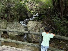-王顺山国家森林公园